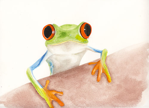 Image of my watercolor - Frog