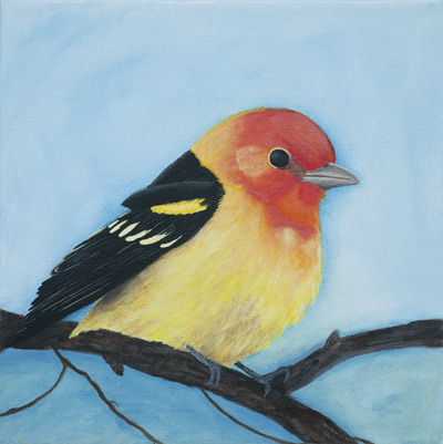 Photo of a Western Tanager.